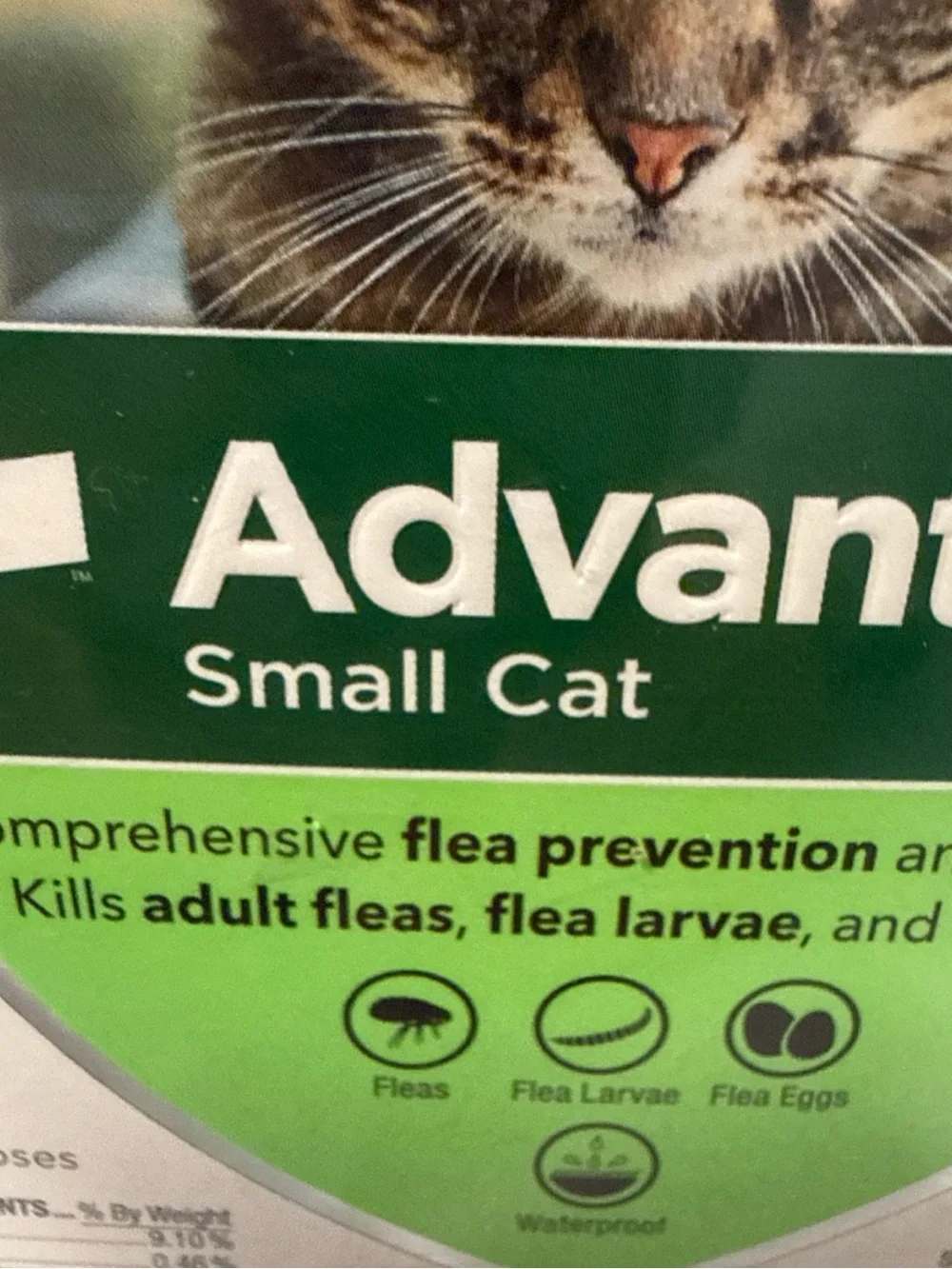 Elan Advantage II Small Cat Topical Flea Prevention - Green